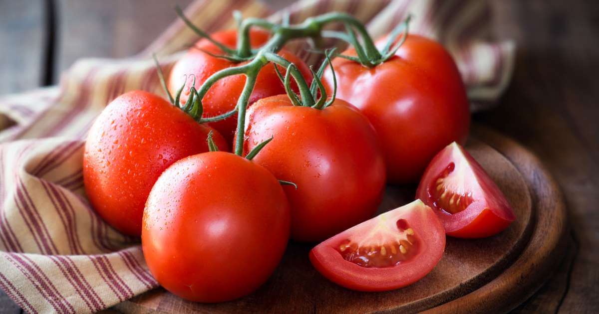 토마토 영양성분